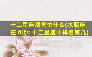 十二星座都害怕什么(水瓶座在 🦢 十二星座中排名第几)